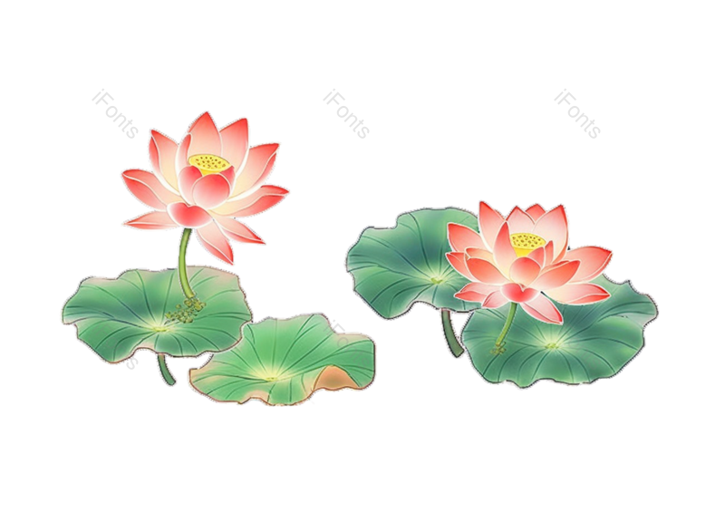 叶子图片,装饰元素,夏至PNG,中国风免抠素材
